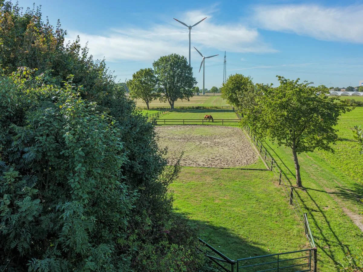 Reitplatz mit Koppel und Pferd unter blauem Himmel