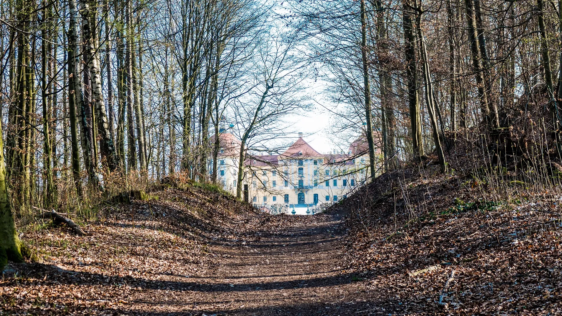 Avenue with a view of a historic estate